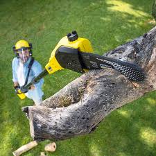 Best Tree Preservation Services  in Baton Rouge, LA